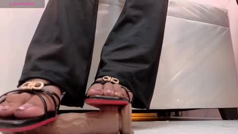 electra_wild_tp online show from 16, 12, 2025