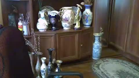 Snapshot of elenazed chatting on 13, 10, 2025 ElenaZed online show from 13, 10, 2025