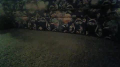 jeff online show from 13, 11, 2025