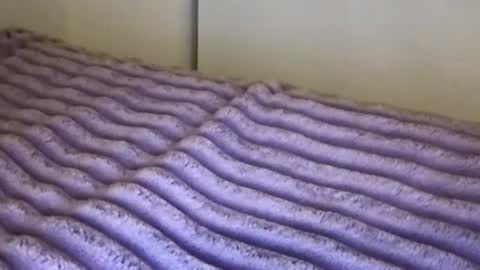 eliterd online show from 13, 11, 2025