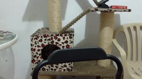 Snapshot of elizabeth_martinez_ chatting on 16, 9, 2025 Elizabeth Martinez online show from 16, 9, 2025