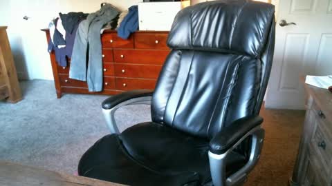 Elk online show from 5, 10, 2025