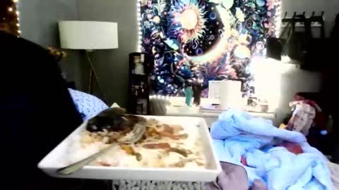 Lizzy Kay Petite online show from 17, 1, 2025