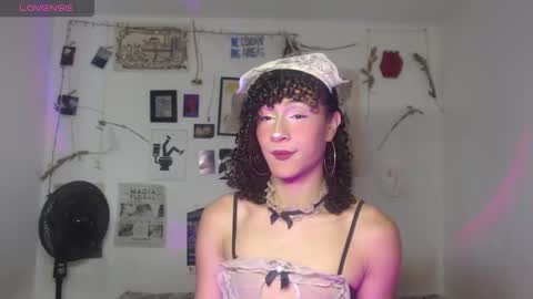  . online show from 14, 3, 2026