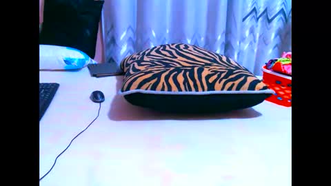elodielynn online show from 19, 5, 2026