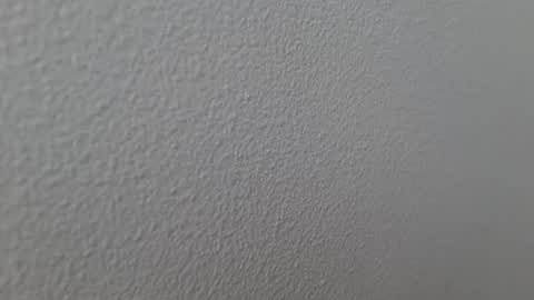 Snapshot of elosocazador chatting on 13, 12, 2024 elosocazador online show from 13, 12, 2024