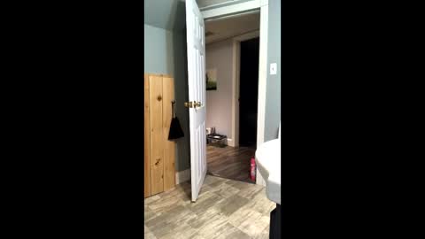 Elpouro online show from 2, 4, 2026