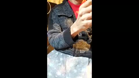 Snapshot of elvergg1 chatting on 19, 1, 2026 elvergg1 online show from 19, 1, 2026