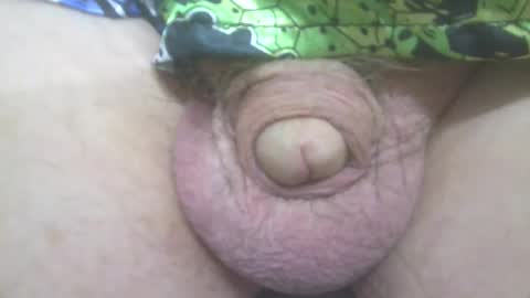 elvisandme online show from 12, 3, 2025