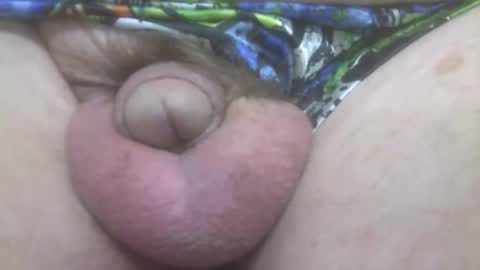 elvisandme online show from 20, 10, 2025