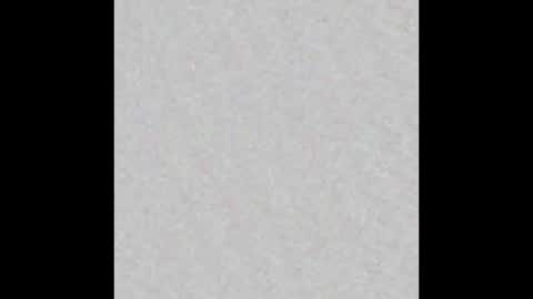 Ely online show from 21, 12, 2024