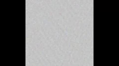 Ely online show from 26, 2, 2025