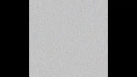 Ely online show from 3, 3, 2025