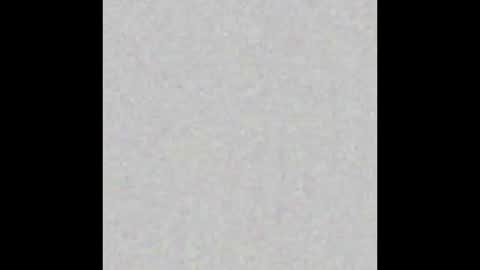 Ely online show from 5, 3, 2025