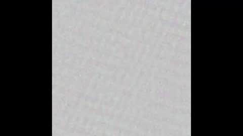 Ely online show from 8, 3, 2025