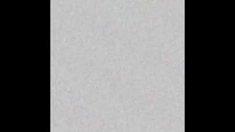 Ely online show from 9, 9, 2025