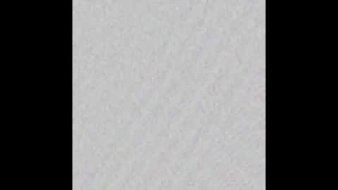 Ely online show from 1, 10, 2025