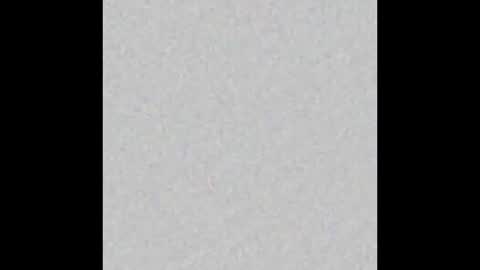 Ely online show from 3, 10, 2025