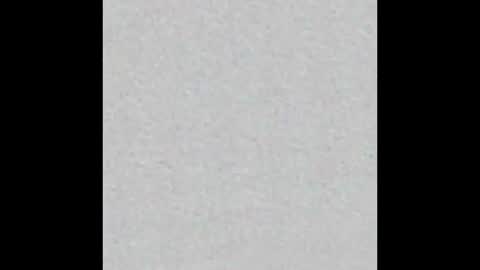 Ely online show from 6, 10, 2025