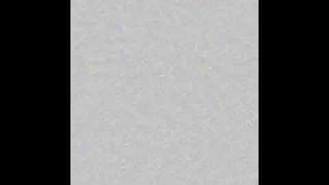 Ely online show from 8, 10, 2025