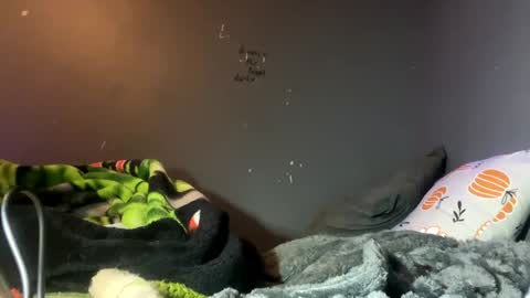 Rockstarbabies4life666 online show from 8, 1, 2025