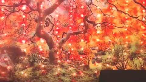 Ember Starleena online show from 30, 9, 2025