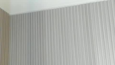 emelie_89 online show from 21, 4, 2026