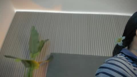 emelie_89 online show from 13, 5, 2026