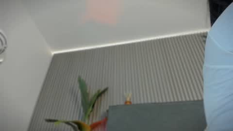 Snapshot of emelie_89 chatting on 15, 7, 2026 emelie_89 online show from 15, 7, 2026