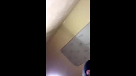 Emily online show from 14, 10, 2025