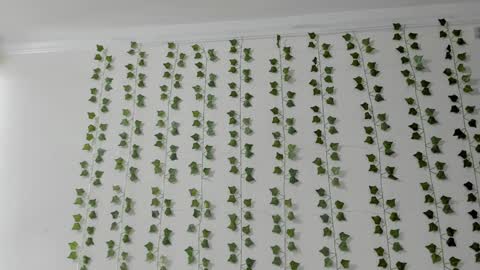 emily online show from 5, 2, 2026