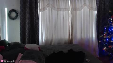 Emily  Swan online show from 3, 12, 2024