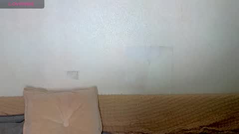 Emily wish-list  online show from 27, 2, 2026