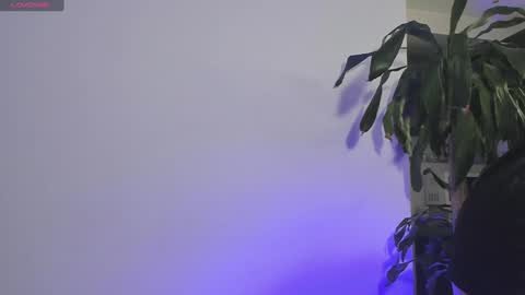 Snapshot of emma_eva1 chatting on 19, 12, 2024 Emma online show from 19, 12, 2024