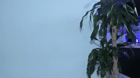 Snapshot of emma_eva1 chatting on 22, 2, 2025 Emma online show from 22, 2, 2025