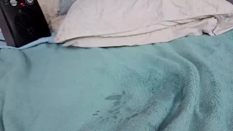 Snapshot of emma_foxi chatting on 15, 12, 2025 Emma online show from 15, 12, 2025