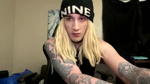 kitty online show from 29, 12, 2024