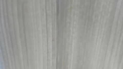 emycarver09 online show from 1, 2, 2026