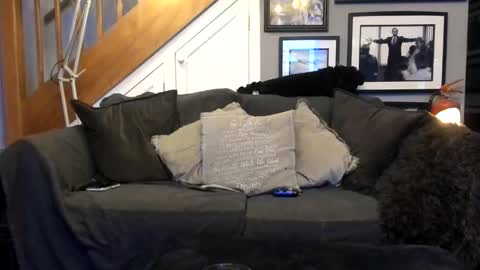 englishcouple81 online show from 13, 3, 2026