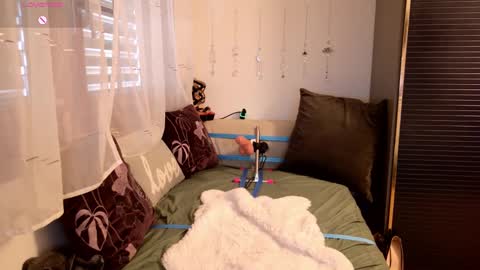 Joy online show from 17, 12, 2024