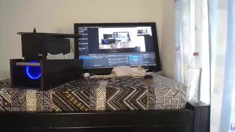 Eolicasextwo online show from 18, 12, 2025