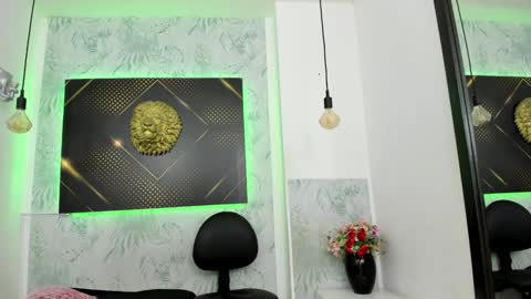 Snapshot of erick_zhimerman chatting on 11, 1, 2025   online show from 11, 1, 2025