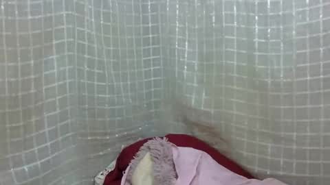 Snapshot of erotic_ebony56 chatting on 16, 4, 2026 erotic_ebony56 online show from 16, 4, 2026