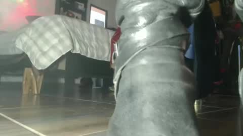 Snapshot of eskelaswd chatting on 6, 10, 2025 Eskela911 online show from 6, 10, 2025