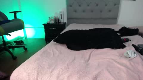 Snapshot of esmeraldaa_sc chatting on 12, 11, 2025 Perla online show from 12, 11, 2025