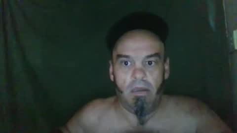 Essensual Elf online show from 8, 9, 2025