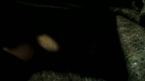 Snapshot of estelarseiya chatting on 4, 1, 2025 estelarseiya online show from 4, 1, 2025