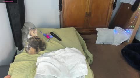 - E S T R E L L A  M I L F - online show from 7, 1, 2025