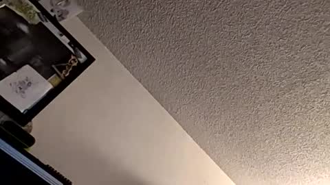 Snapshot of et528007 chatting on 7, 11, 2025 et528007 online show from 7, 11, 2025