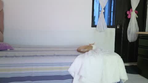Eva Sin online show from 12, 6, 2026